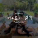 힐링퍼피 | [발리/짱구]퍼피요가 발리::예약 방법·가격 비교·솔직 후기 총정리