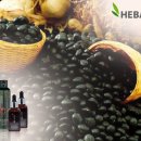 헤바베오 (Hebavepo)