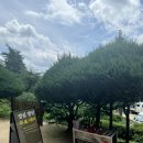 용담사 - 1296 | 안동 여행 가볼 만한 곳 | 도산서원, 월영교, 용담사 계곡