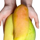 무지개2농장 이미지