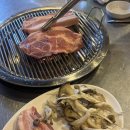 돈아돈아 - 사상구 광장로 40 | 청주 수곡동 )!노포 , 현지인 맛집 고깃집 “돈아돈아” 솔직 후기