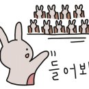 블랙스완짬뽕카페 이미지