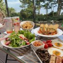 데이지브런치 이미지