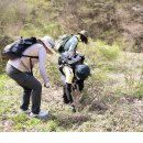 상전망향의공설묘지 이미지