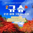 신세계관광여행사 - 사천시 대밭담1길 22 | 신세계관광여행사