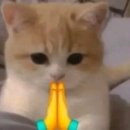 바다가 되고 싶어요 이미지
