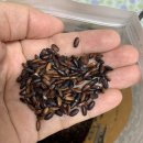 듬뿍농장 이미지