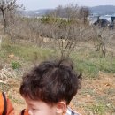 태준농장 이미지