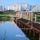 더미도 이미지
