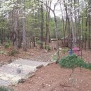 산책하우스 민박 이미지