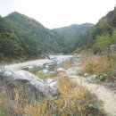 왕피천생태탐방로 이미지