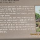 대구나무병원 이미지