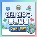 24시 송도힐 동물메디컬센터 | 인천 연수구 동물병원 24시 진료 바로가기 (+송도 지역 포함)
