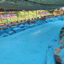 전주고덕펜션 이미지