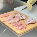 [하림 유니버스3기🐔] 하림 HCR 투어 후기 (누구나 체험할 수 있는 HCR투어!)
