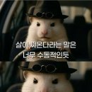 필베이커리 - 안동시 | 필베이커리