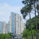 판교더샵포레스트공인중개사사무소 이미지