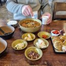 속초 맛집 청초수물회 섭국 오징어순대 후기