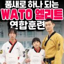 대룡태권도장 이미지