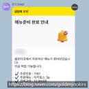 영화의전당 앞 | [행사] 2026 센텀맥주축제 │ 영화의전당 부산맥주 축제, 주말 데이트, 후기