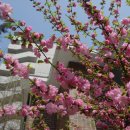 신양경로당 이미지