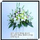 6지역 조금복(바오로) 이미지