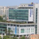 조선대학교 치의학전문대학원 이미지