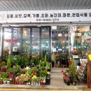 진스플라워 - 수원시 팔달구 효원로 257 | 진스플라워