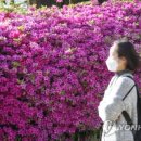 대덕대로-24 이미지