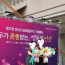 이태리꽃상점 이미지