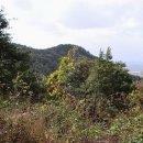 산성 이미지