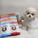 설이네 펫푸드 | 강아지 저알러지, 저칼로리 간식 대주펫푸드 콰삭콰삭 전제품(4종) +고양이 급여 후기