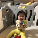 아기밥상 이미지