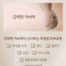 (주)에스티 | 여름철 필수 파데 에스티로더 더블웨어 2026년 리뉴얼 소식에 구버전 서둘러 구매한 후기