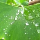 소문난집 이미지