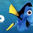 도리4천 이미지