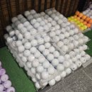 제이마스타스포츠 이미지