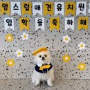 멍스럽 - 김포시 감정로 85 | 멍스럽