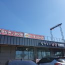 금성반점 이미지