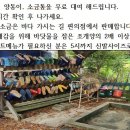 백합펜션 이미지