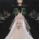 로즈니 | 📷로즈베일리📷 스냅사진 계약 후기