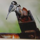 김신환동물병원 이미지