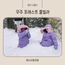 무주포레스트 | 무주 펜션 포레스트 풀빌라 내돈내산 숙박 후기