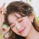 하오개로 이미지