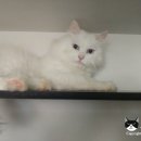 호텔구구 이미지