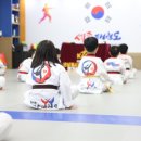 즐거운세종태권도장 이미지