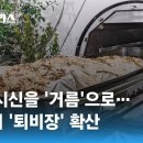 사람 시신을 '거름'으로...미국서 퇴비장 확산 (JTBC 상암동클라스) 이미지