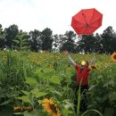 요정농장 이미지