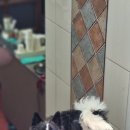 송원다방 이미지