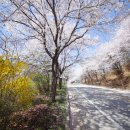 한산1리마을회관 이미지